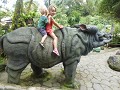 bandung-15