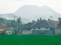 treinreis yogya-6