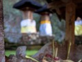 UBUD-4