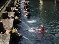 UBUD-11
