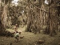 bogor-5