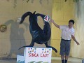 jakarta-13