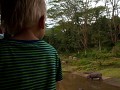 taman safari-9