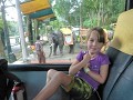 taman safari-54