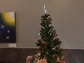 onze eerste kerstboom!