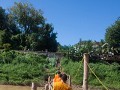 luang prabang-26