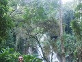 luang prabang-43