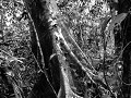 Taman negara -5