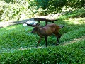 Taman negara-12