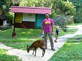 Taman negara-13