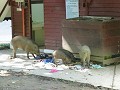 Taman negara-15