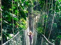 Taman negara-62