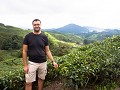 cameron highlands-54