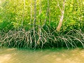 langkawi-13