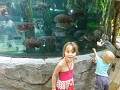 langkawi underwaterworld