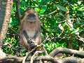 langkawi-57
