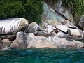 abel tasman-8