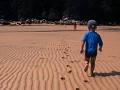 abel tasman-19