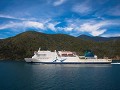 interislander-16