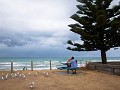 picknicken aan Waihi beach - oostkust Noordereilan