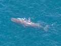 kaikoura-14