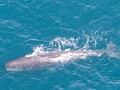 kaikoura-17