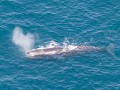 kaikoura-19