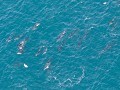 kaikoura-24