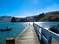 akaroa pana-4