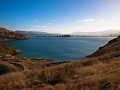 otago peninsula-11