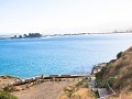 otago peninsula-6