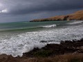 otago peninsula-23