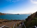 otago peninsula-7