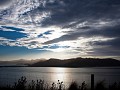 otago peninsula-15