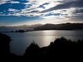 otago peninsula-16