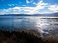 kaikoura-48