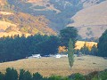 akaroa pana-18