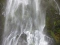 milford sound-22