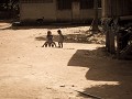 chiang rai-132