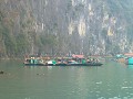 halong-20