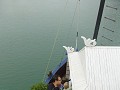 halong-66