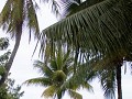hoi an35