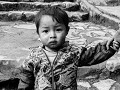 Sapa6