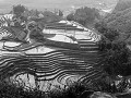 Sapa10
