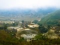 Sapa11