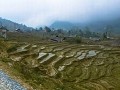 Sapa44