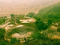 Sapa80