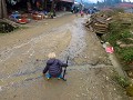 Sapa173