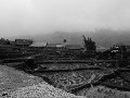 Sapa172