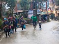 Sapa184